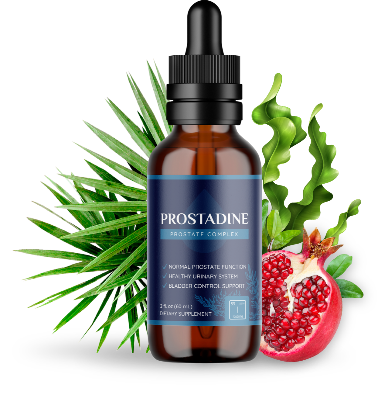 Prostadine single bottle with pomegranate and spike leaves
